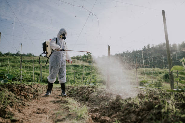 Best Pest Prevention Services  in Streamwood, IL