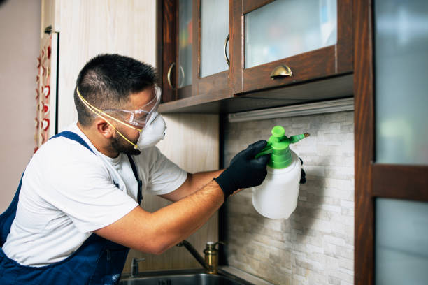 Best Affordable Pest Control Services  in Streamwood, IL