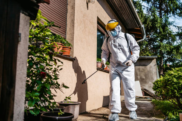 Reliable Streamwood, IL Pest Control Solutions