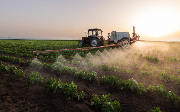 Best Wildlife Control Services  in Streamwood, IL
