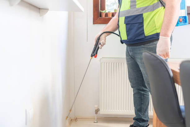 Best Flea Control Services  in Streamwood, IL