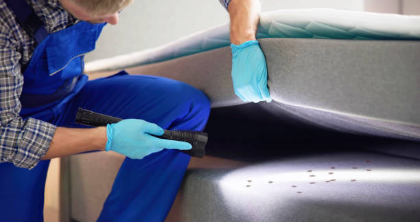 Best Termite Control Services  in Streamwood, IL