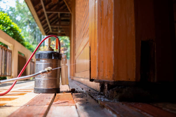 Best Pest Control for Homes  in Streamwood, IL