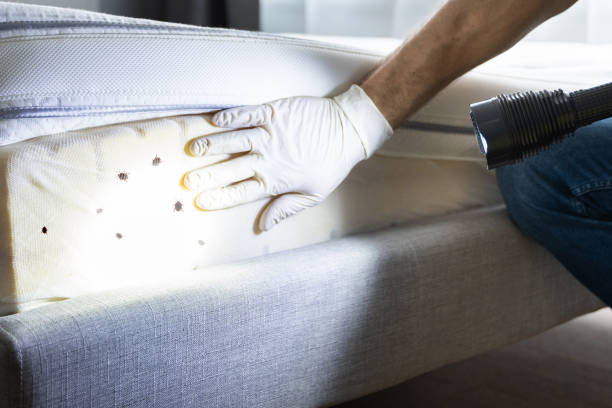Best Best Pest Control Companies  in Streamwood, IL