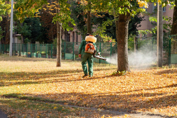 Best Mosquito Control Services  in Streamwood, IL
