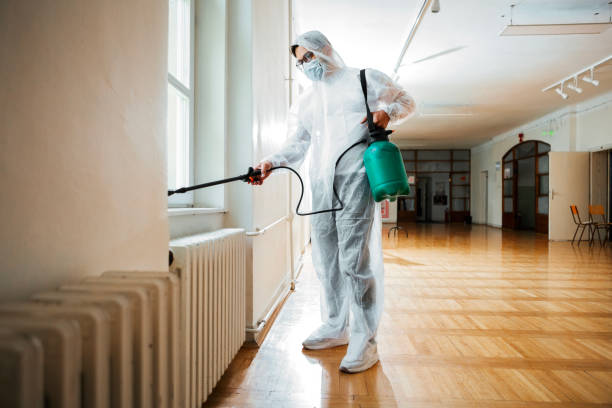 Wildlife Control Services in Streamwood, IL